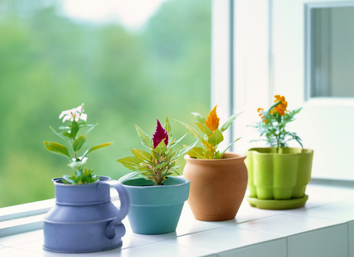 使用植物：植物具有吸收煞气的作用。在住宅内放置植物可以帮助改善气场流，减少负面情绪，促进人际关系和谐。