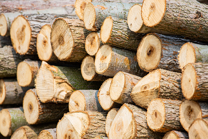使用天然材料：木制家具、竹制地板等天然材料能够带来亲近自然的感觉，营造温馨舒适的氛围。
