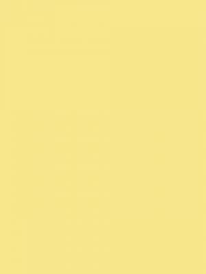 黄色：黄色代表快乐、乐观和创造力。它是一种温暖的颜色，可以为阳台增添一丝活力和生机。