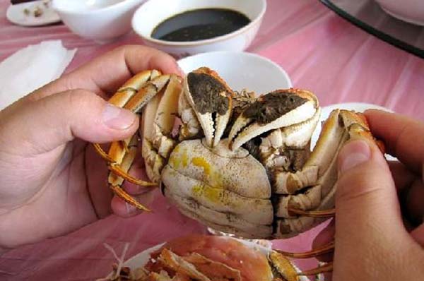 螃蟹被吃：失去、脆弱或被消耗。